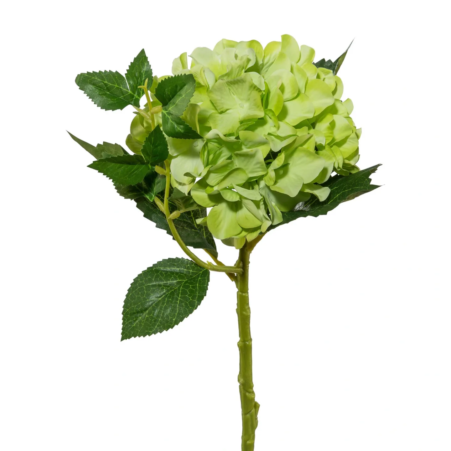 Gasper Kunstblume Hortensie, Grün | Schubiger Möbel
