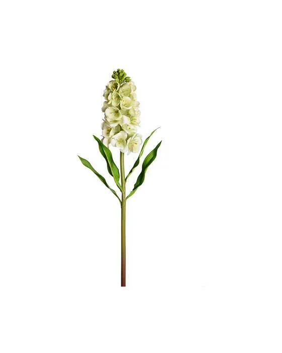Lövkoja snittblomma grön