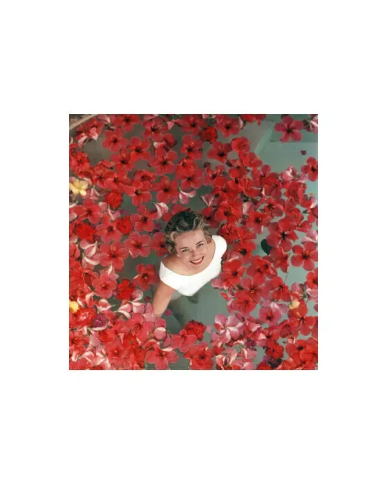 Hibiscus Flowers