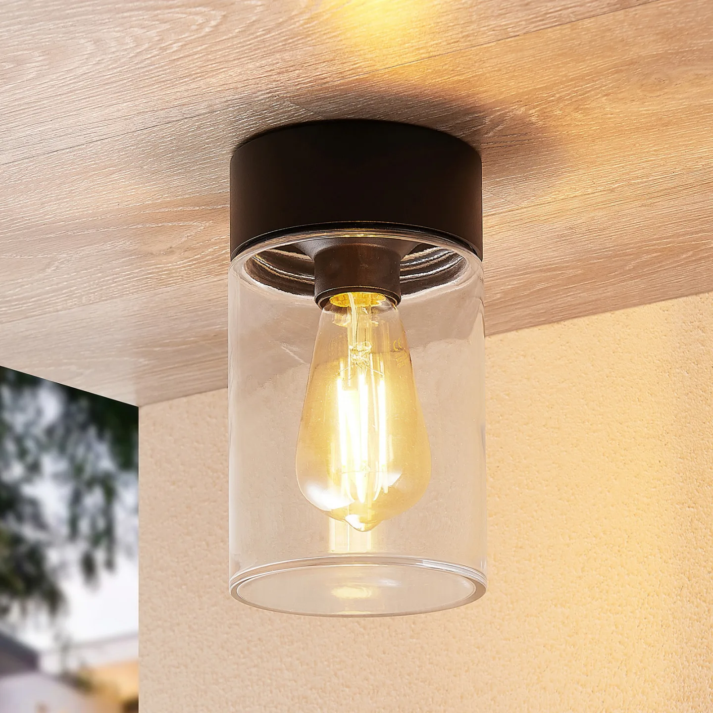 Liljana Utomhus Plafond IP65 Black - Arcchio - Modern - Glas - Rund