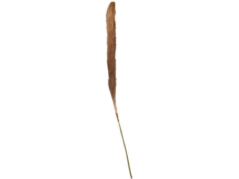 Pampas LIANA Kaffeefarben