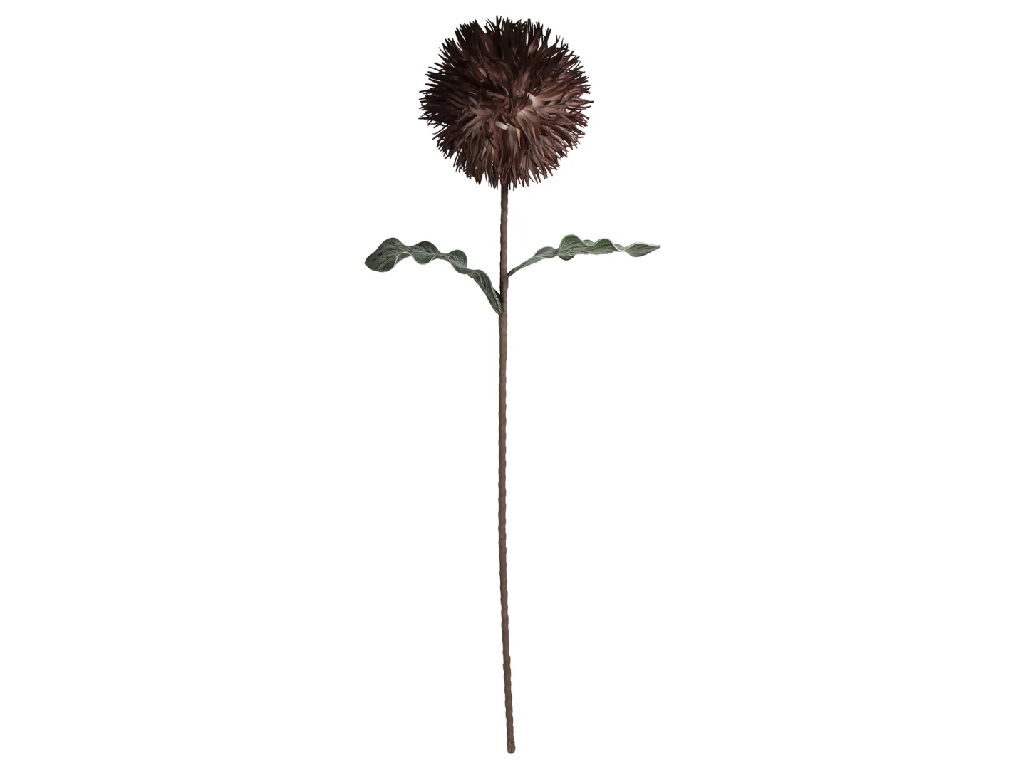 Kersten Kunstblumen Blüte Braun H: 76 cm | Schubiger Möbel