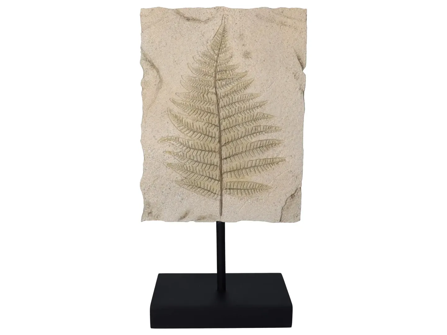 Kersten Skulptur Ornament Blätter H: 40 cm | Schubiger Möbel