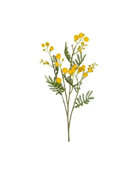 Mimose – afskåret blomst i gul