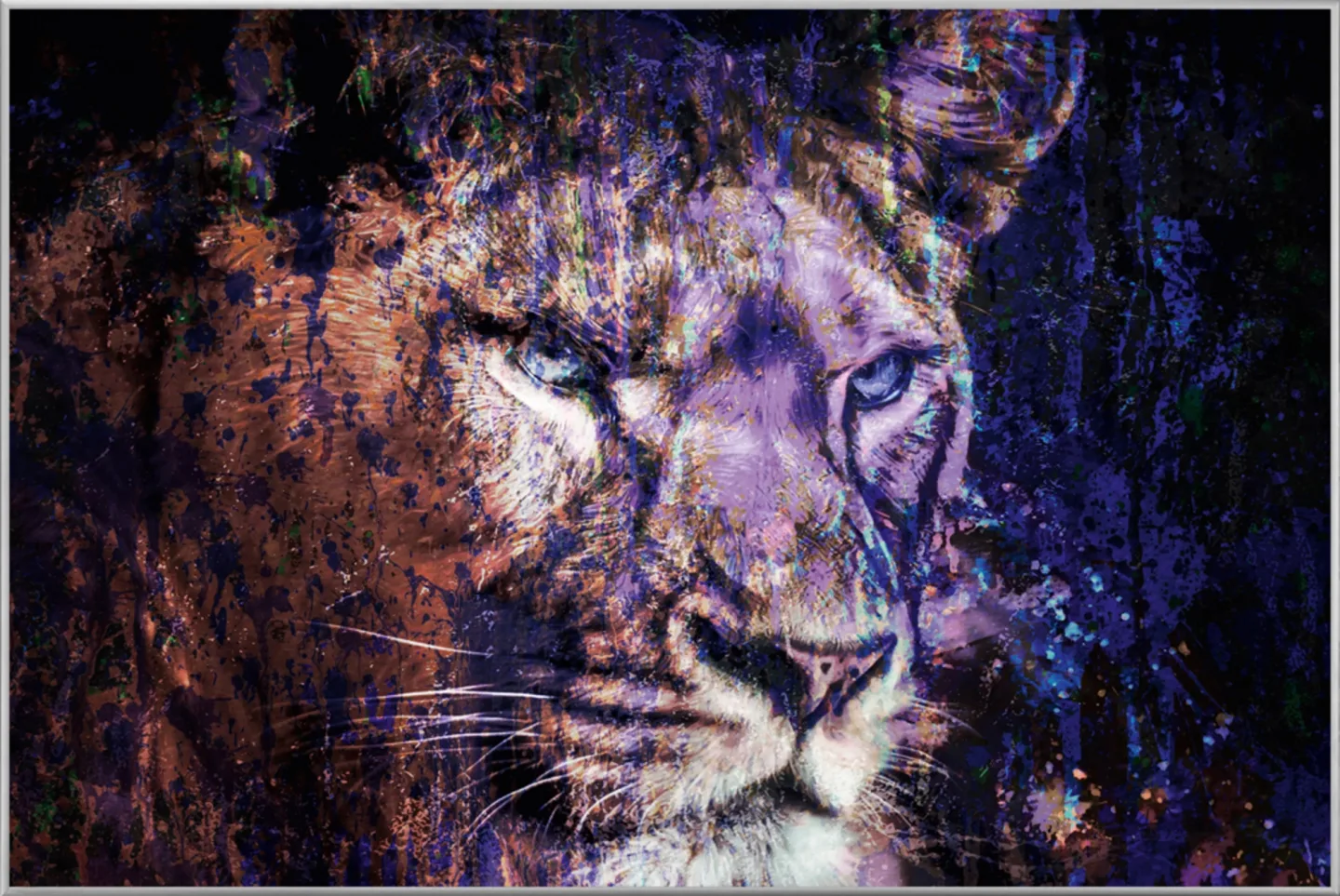 image LAND Bild mit Rahmen Löwe in Blau | Schubiger Möbel