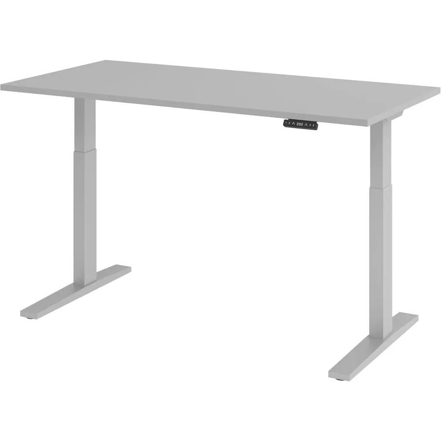 Schreibtisch Office grau Holzwerkstoff B 160 T 80 cm