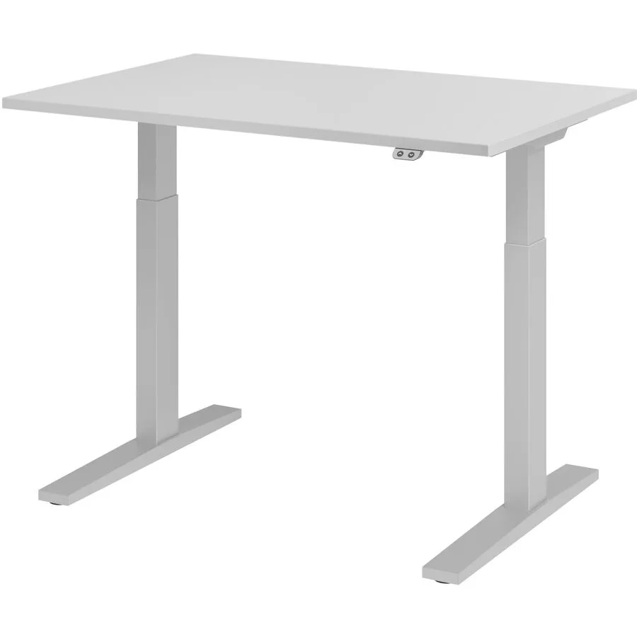 Schreibtisch Office grau Holzwerkstoff B 120 T 80 cm