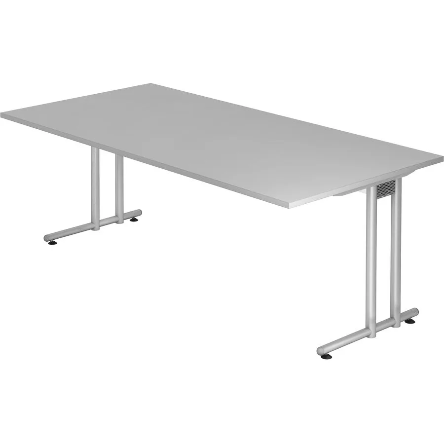 Schreibtisch Office grau Holzwerkstoff B 200 T 100 cm