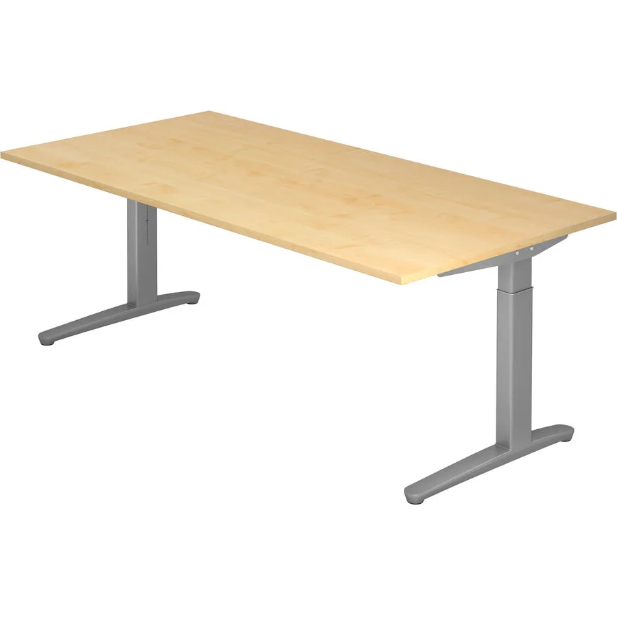 Schreibtisch Office Ahorn Holzwerkstoff B 200 T 100 cm
