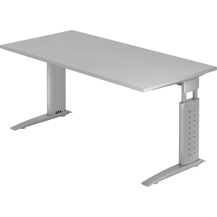 Schreibtisch Office grau Holzwerkstoff B 160 T 80 cm