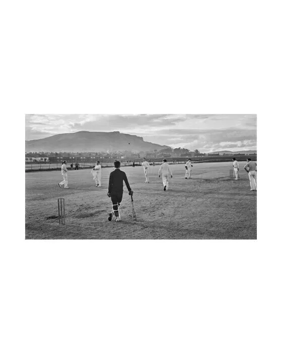 Cricketers on the Pitch
