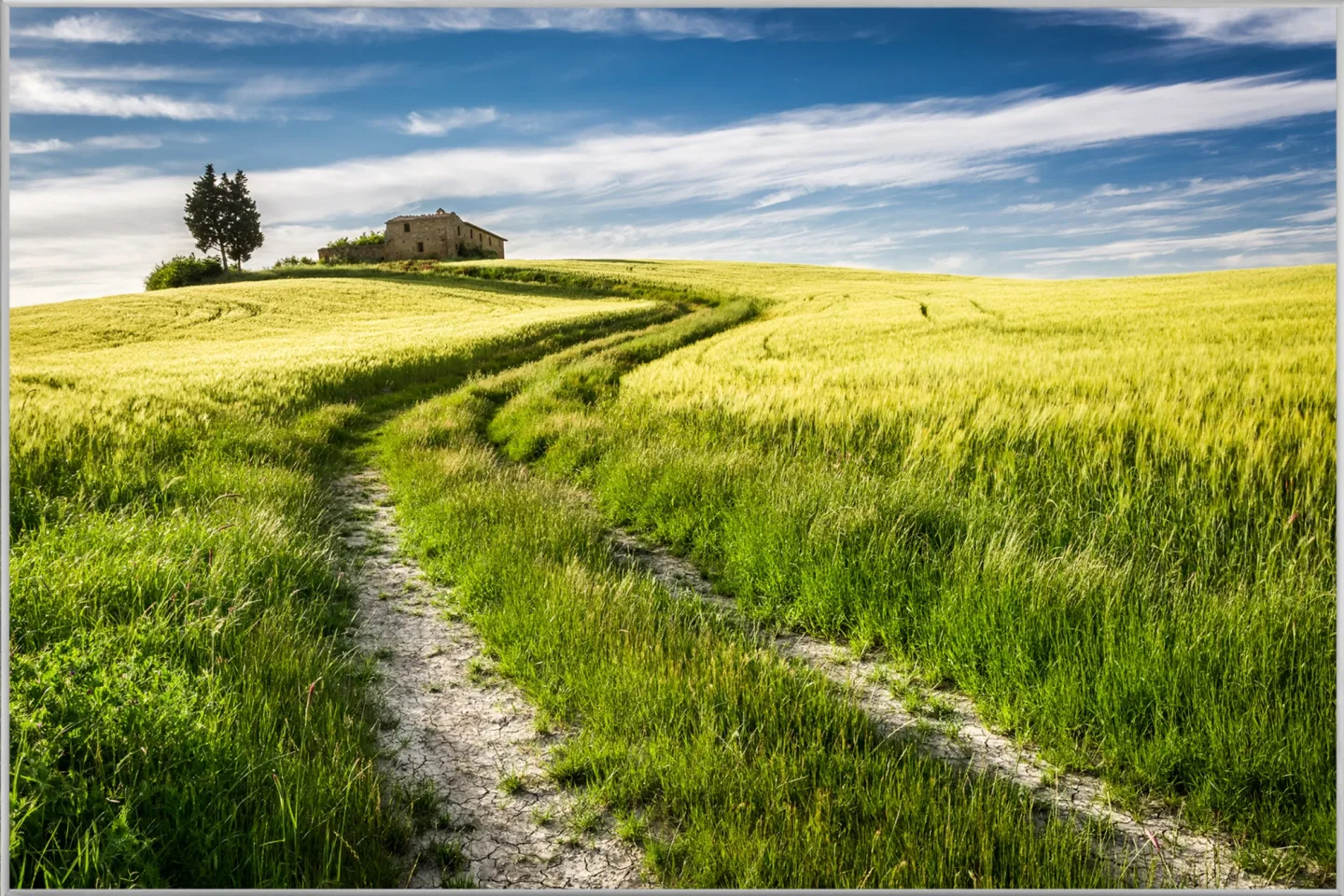 image LAND Bild mit Rahmen Feldweg | Schubiger Möbel