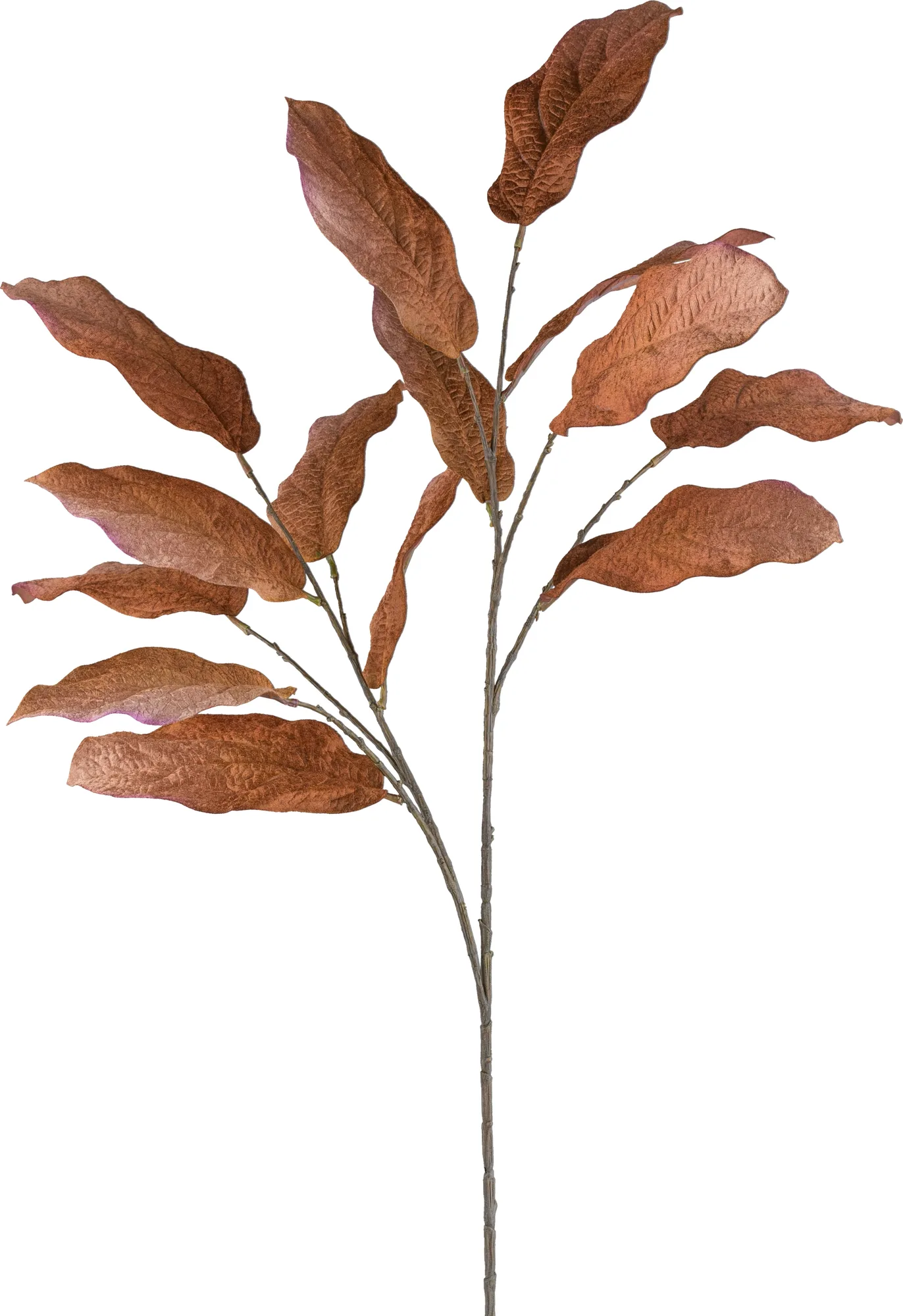 Gasper Kunstblumen Magnolienblatt, Zimt H: 124 cm | Schubiger Möbel