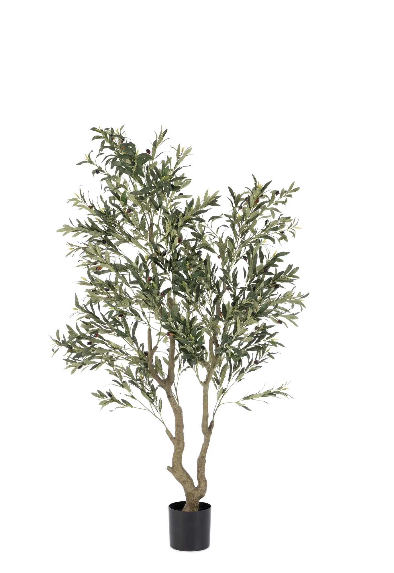 Bizzotto Kunstpflanzen Olivenbaum im Kunststofftopf H: 180 cm Grün | Schubiger Möbel