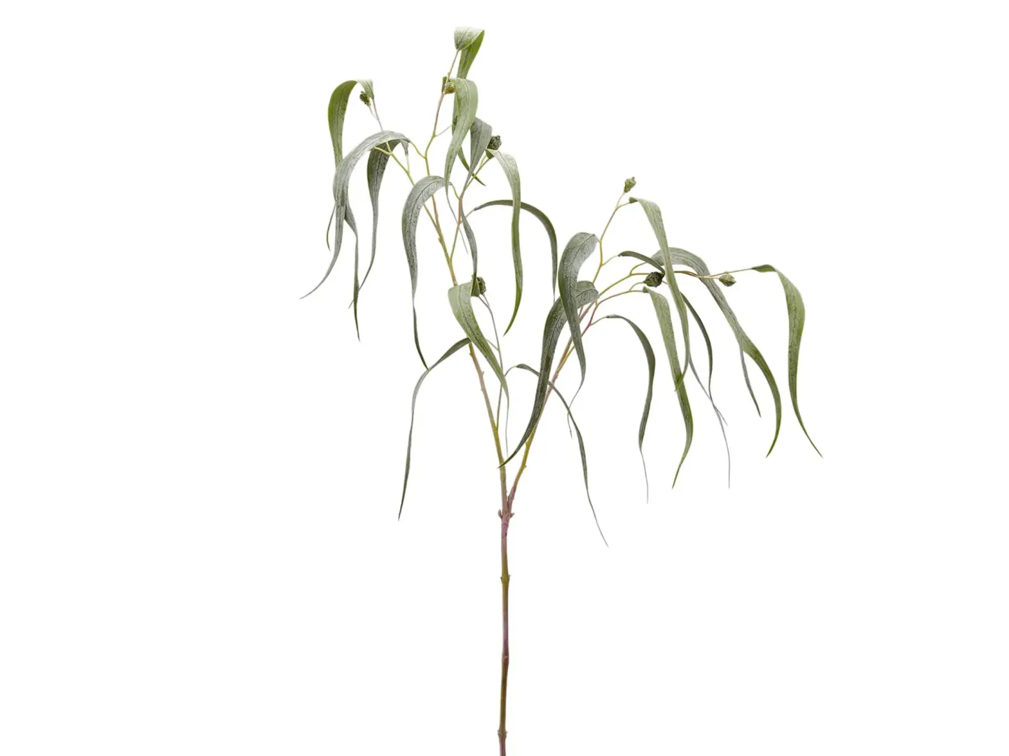 Edg Kunstblume Eucalypthus H: 115 cm | Schubiger Möbel