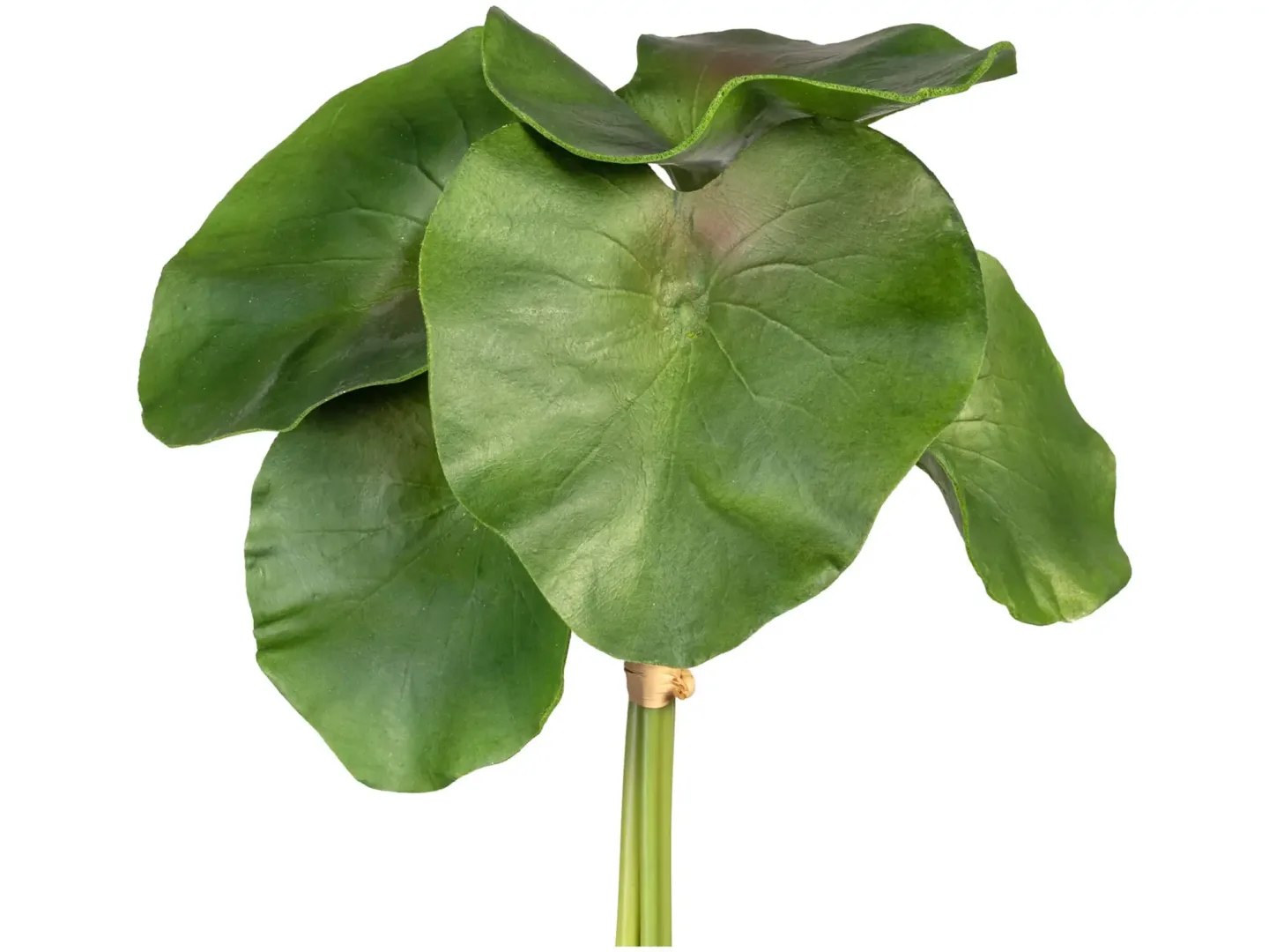 Gasper Kunstblume Seerosenblätter H: 27 cm | Schubiger Möbel