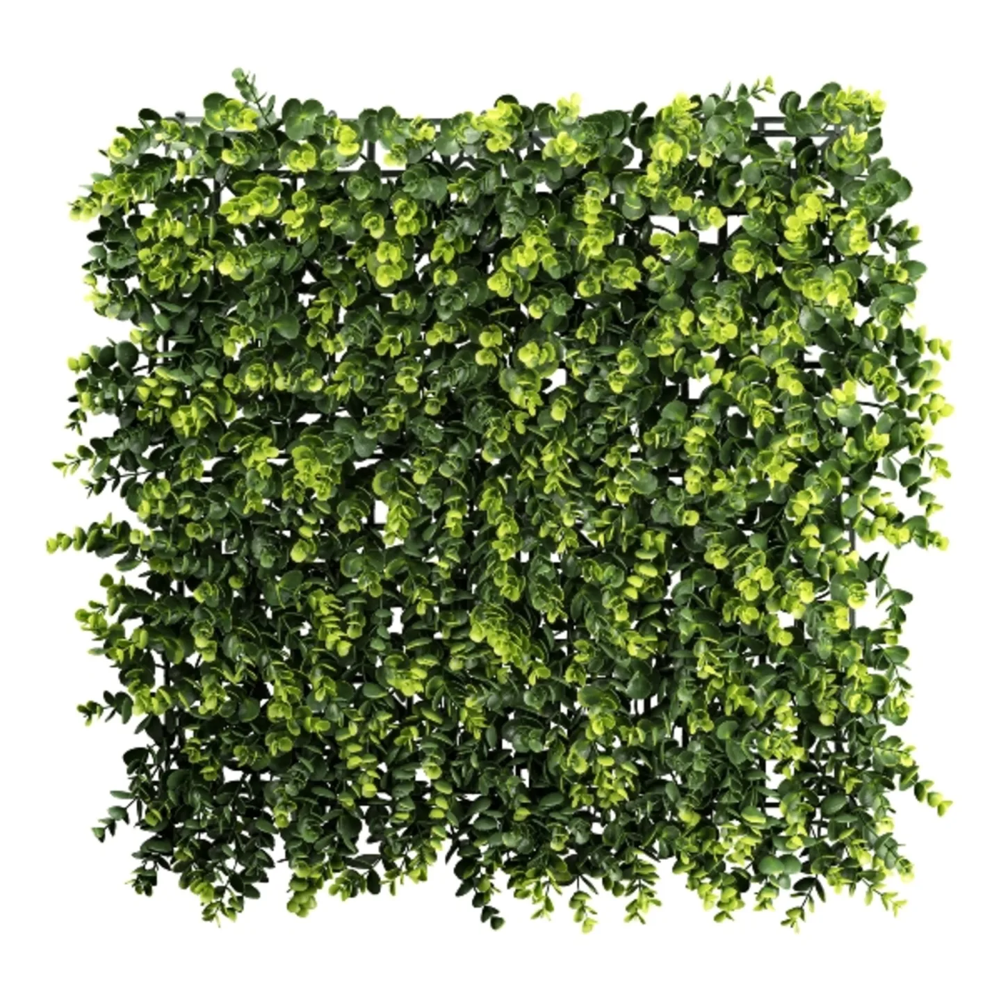 Gasper Kunstpflanzen Eukalyptusmatte H: 50 cm | Schubiger Möbel