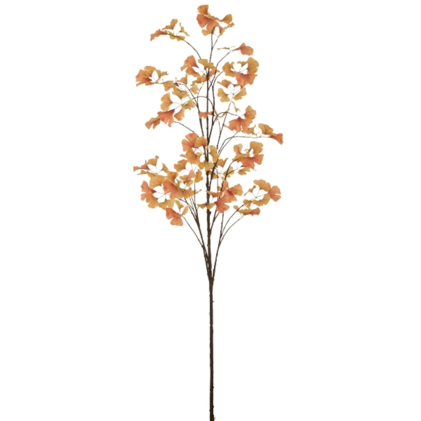 Gasper Kunstblumen Gingkozweig, Orange | Schubiger Möbel