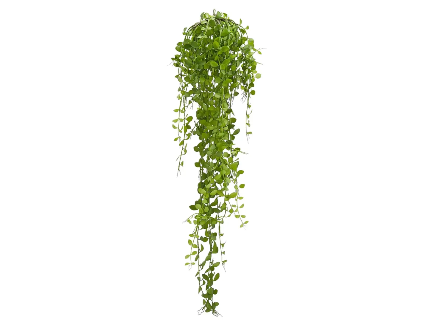Edg Kunstblumen Hängekaktus H: 90 cm | Schubiger Möbel