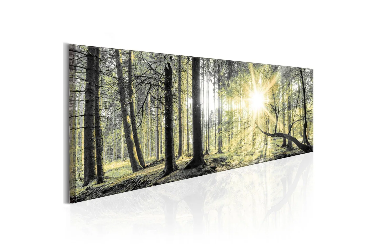 Tavla Morning Forest 120x40 cm -