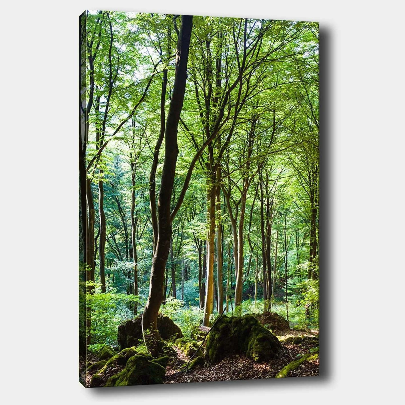 Canvastavla 70x100 cm - Lummig skog med höga träd och grönskande vegetation - Grön / Brun