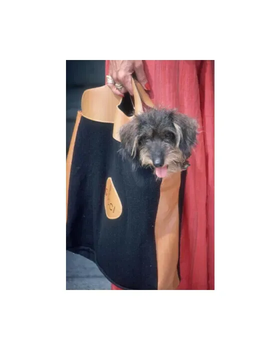 Gucci Pooch