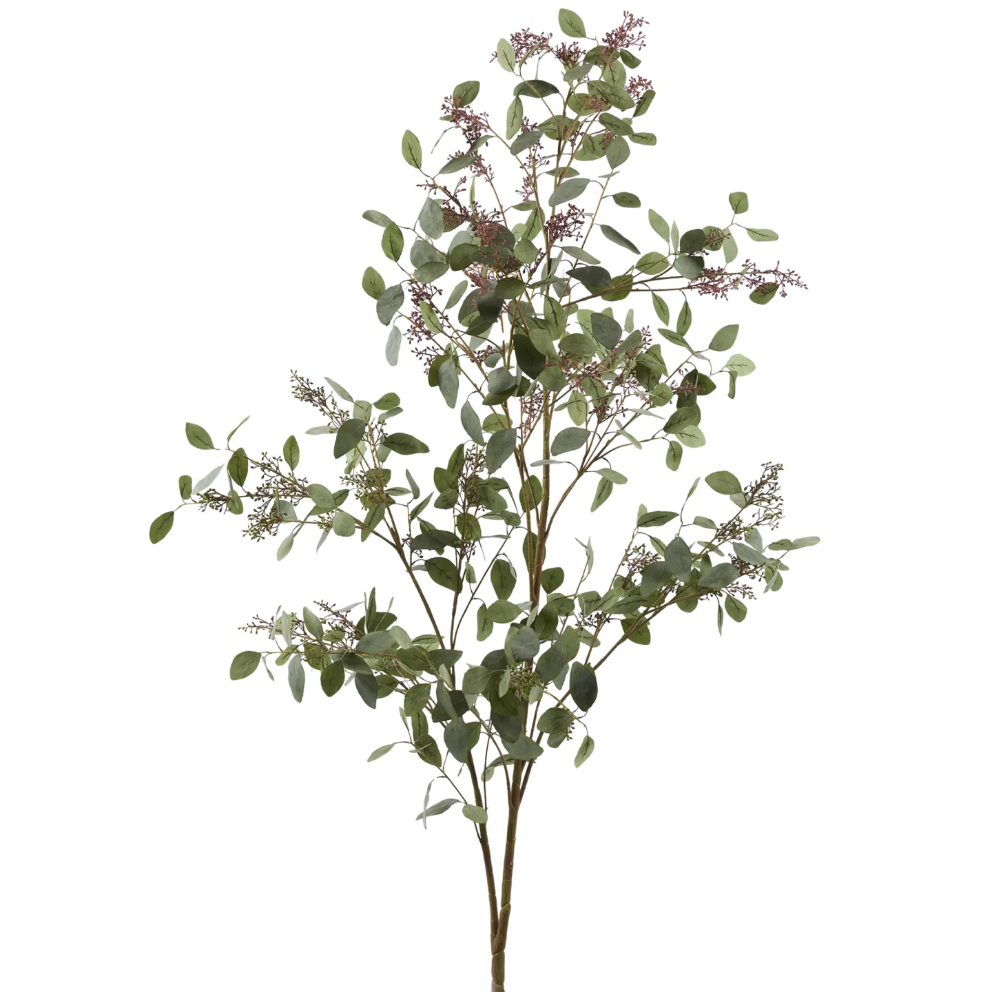 Edg Kunstpflanze Eucalyptusbaum H: 178 cm | Schubiger Möbel