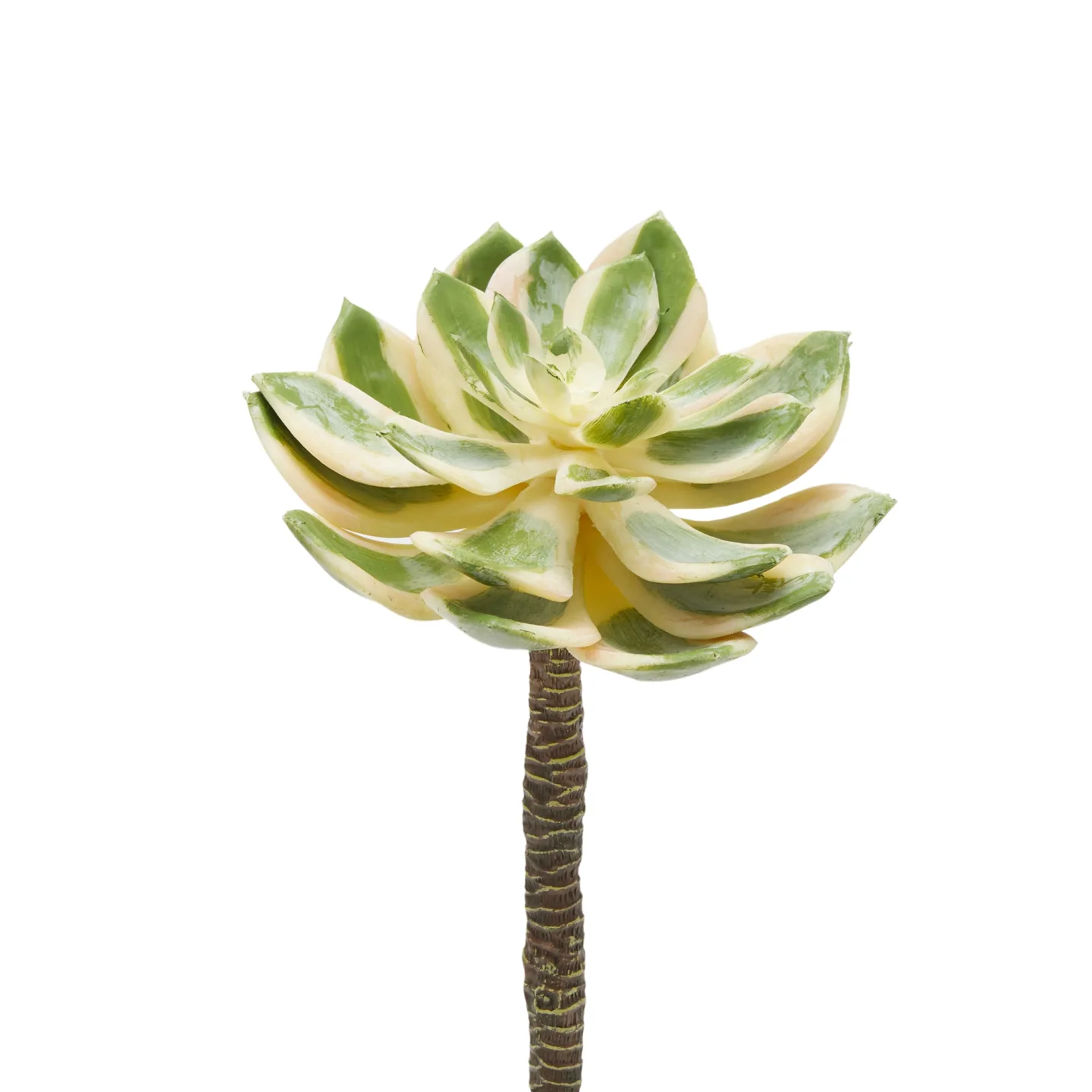Edg Kunstblume Rosettendickblatt D: 16 cm | Schubiger Möbel