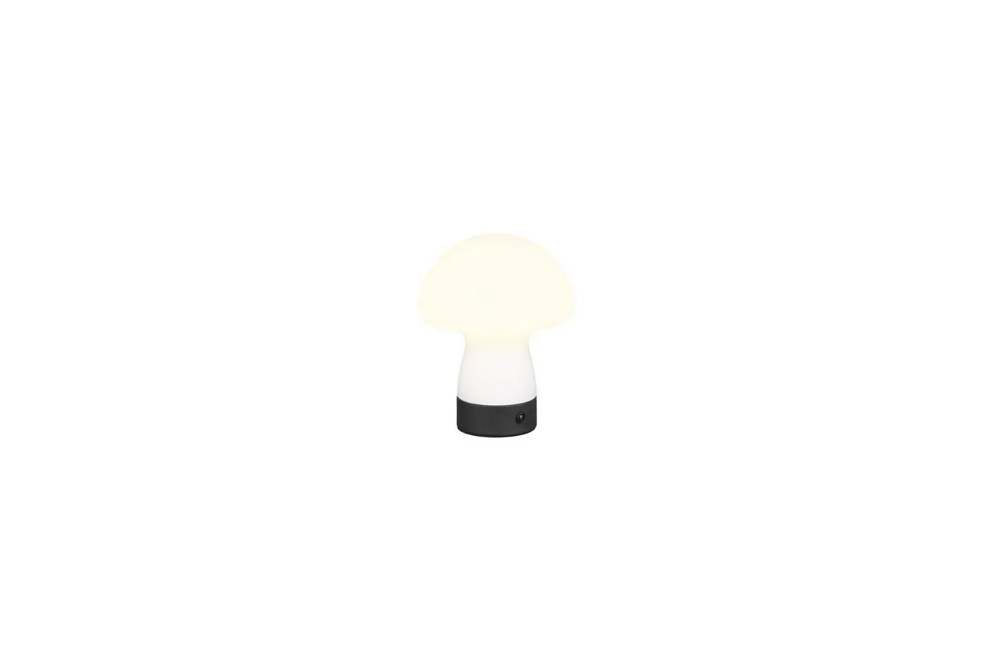 Bordslampa TRIO Dooley Mattvit - Mattvit