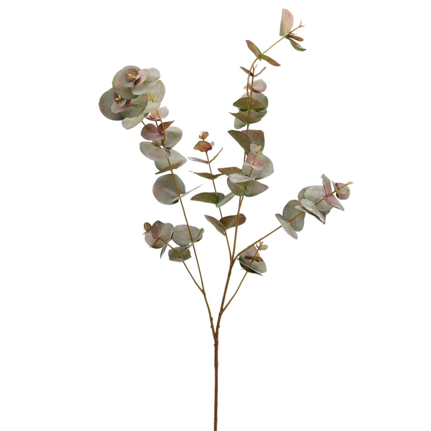 Edg Kunstblume Eukalyptus H: 100 cm | Schubiger Möbel