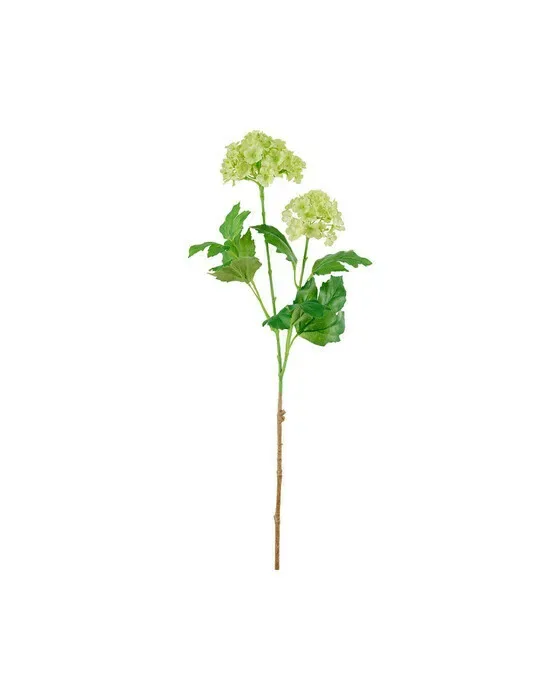 Olvon afskåret blomst lime