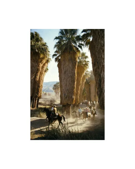 Palm Springs Riders