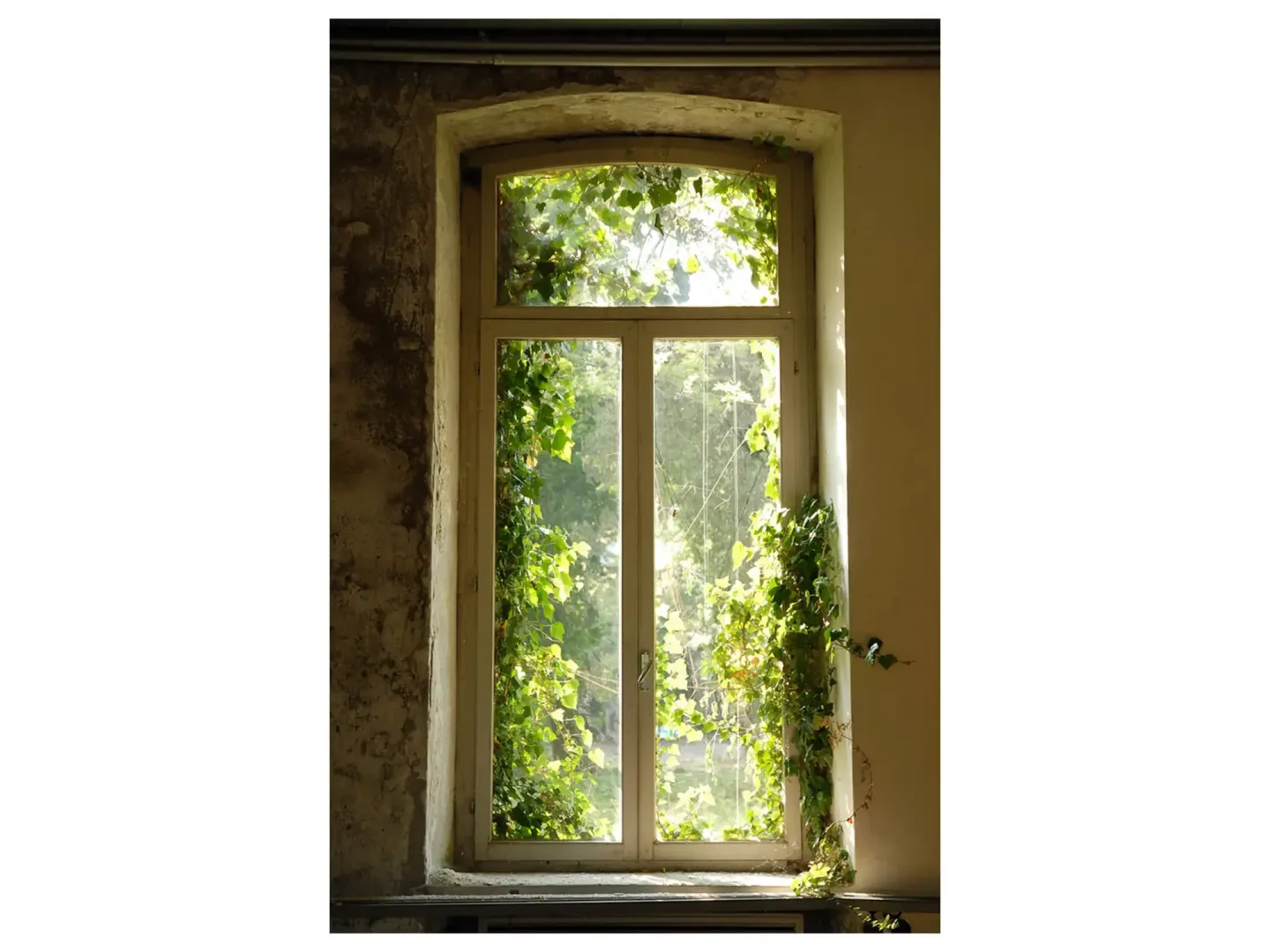 image LAND Digitaldruck auf Acrylglas Fenster mit Laub 2 | Schubiger Möbel