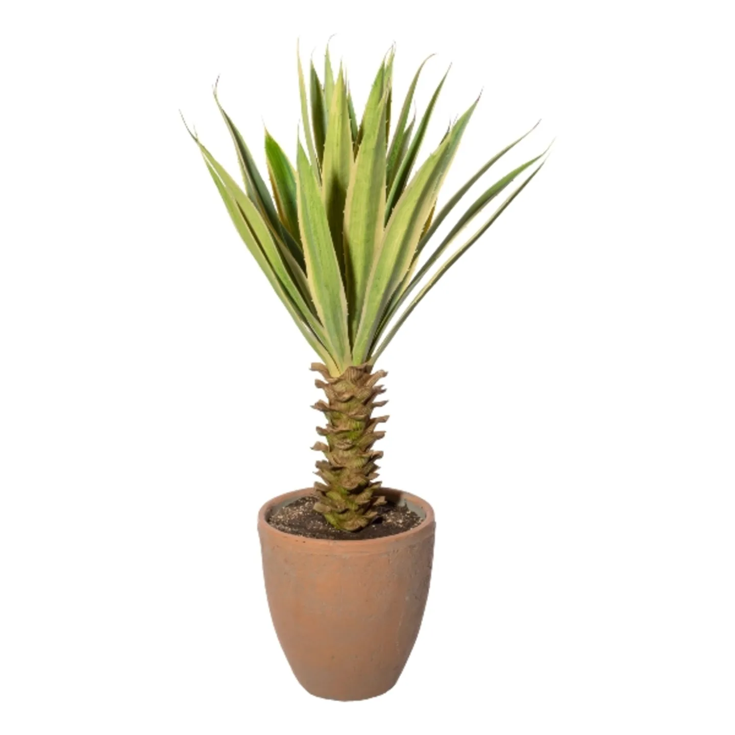 Gasper Kunstpflanze Yucca im Terracottatopf, Grüncreme H: 75 cm | Schubiger Möbel