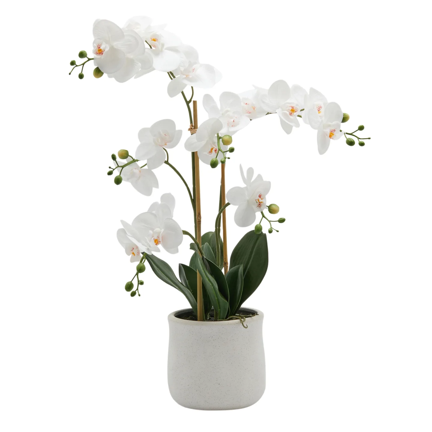 Edg Kunstpflanze Orchidee im Topf H: 65 cm | Schubiger Möbel