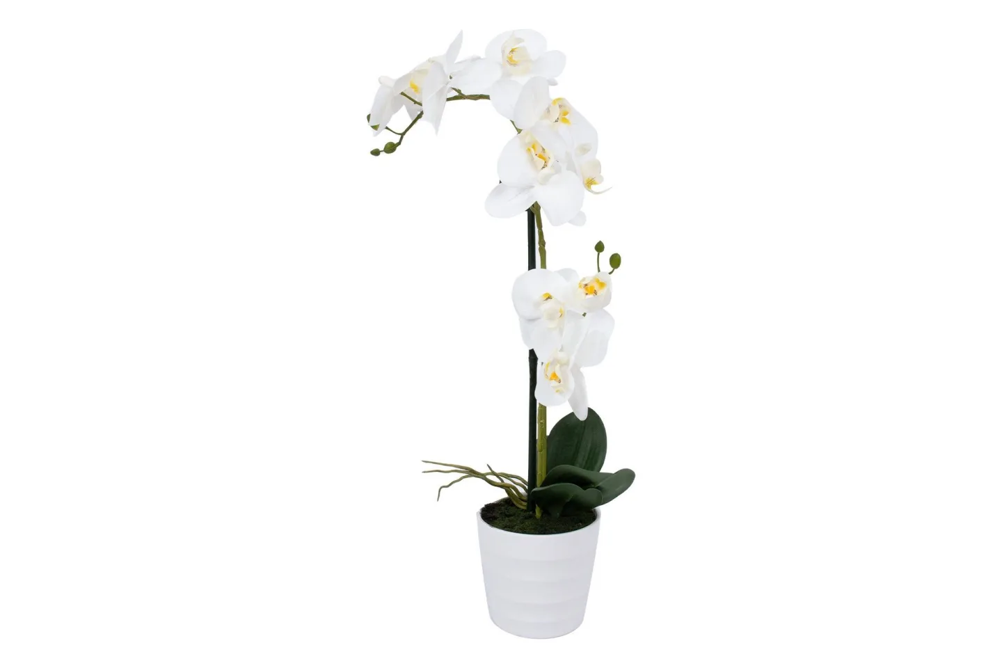 Vit Orkidea 51 cm på Vit Kruka -