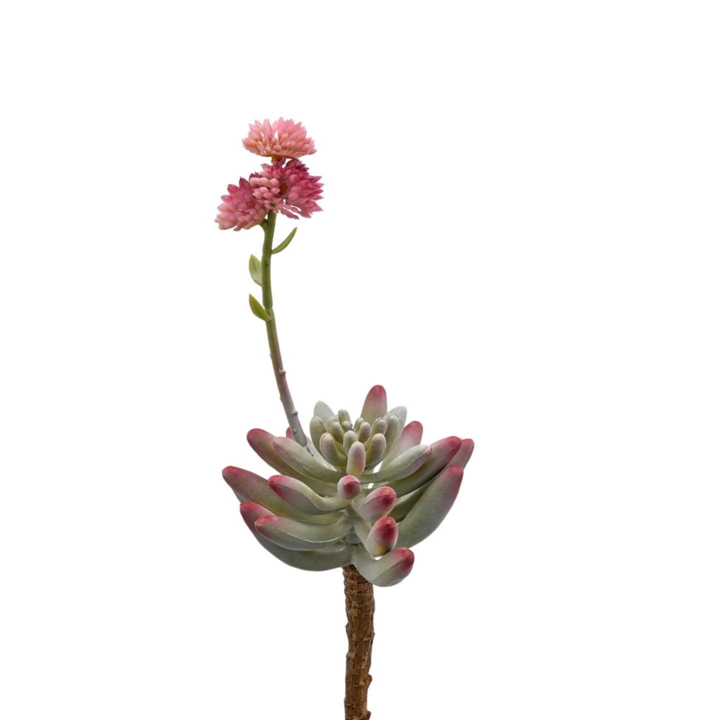 Edg Kunstblume Fetthenne Rosa H: 23 cm | Schubiger Möbel