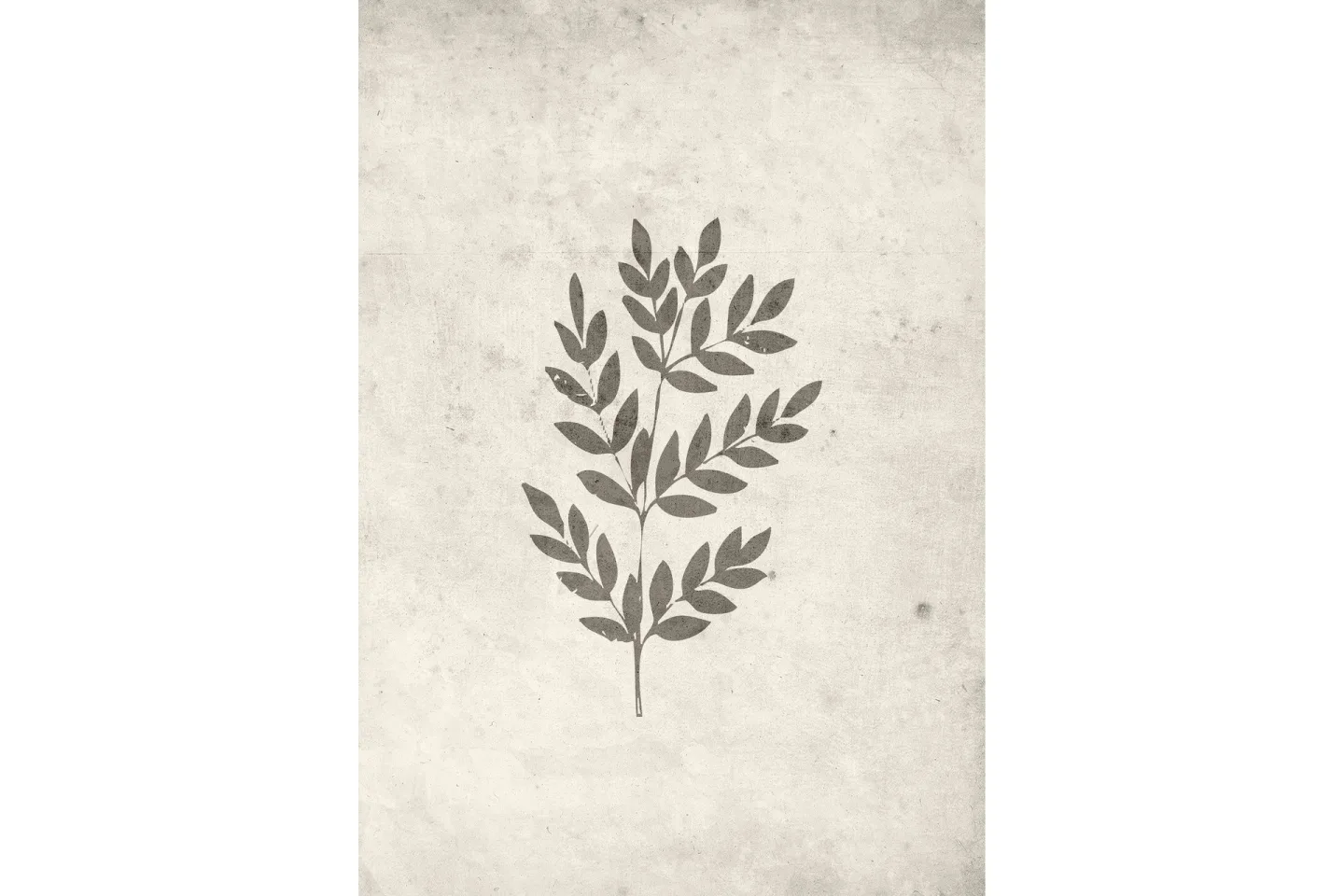 Poster Spring leaf 70x100 cm - Beige