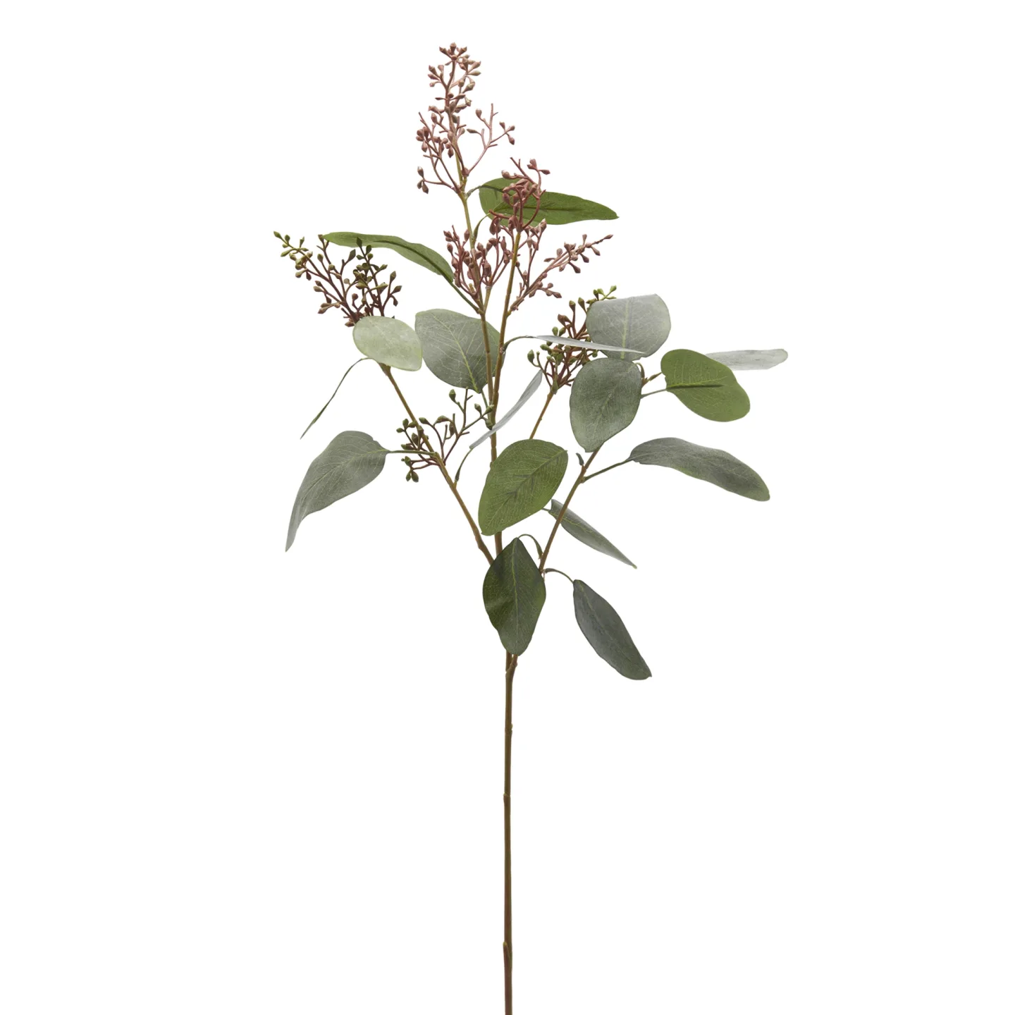 Edg Kunstblume Eucalyptus H: 97 cm | Schubiger Möbel