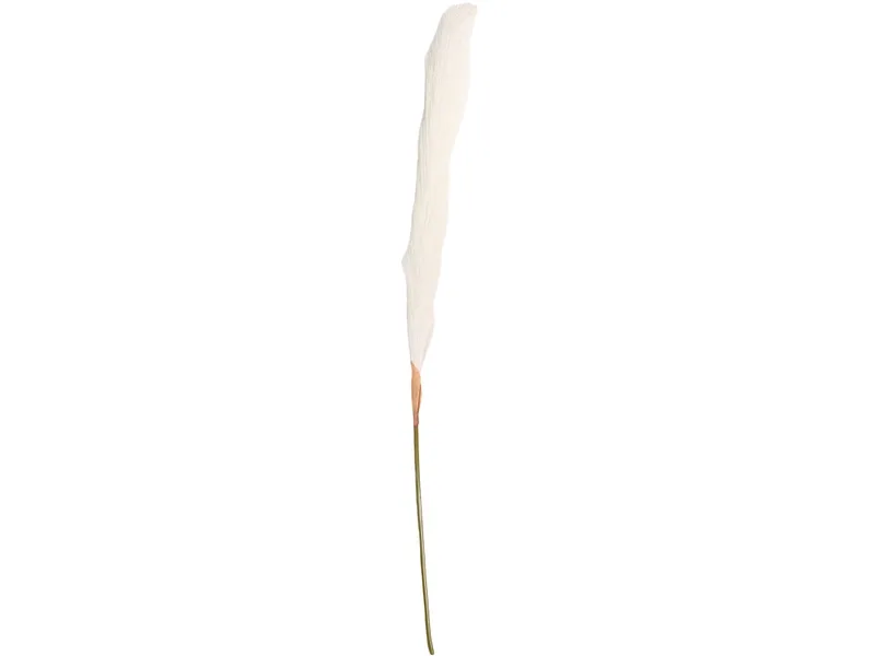 Pampas LIANA Beige