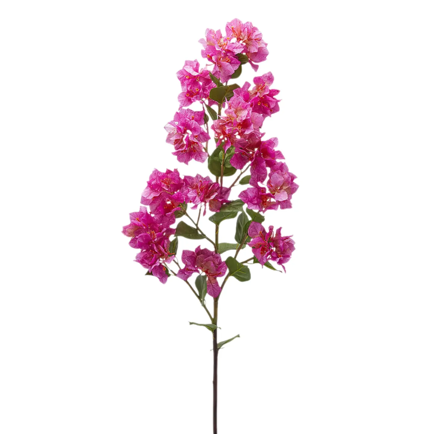 Edg Kunstblume Bouganvillea Pink H: 122 cm | Schubiger Möbel