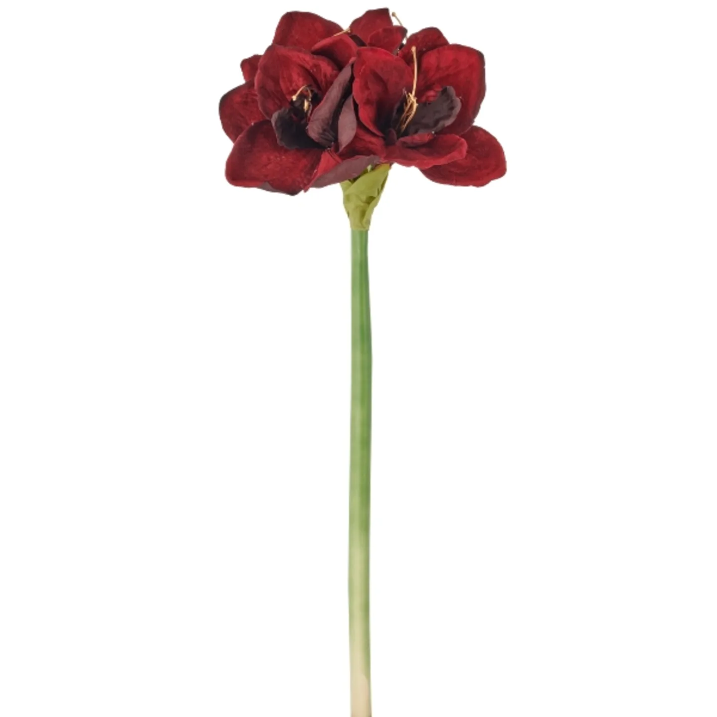 Gasper Kunstblumen Amaryllis, Rot | Schubiger Möbel