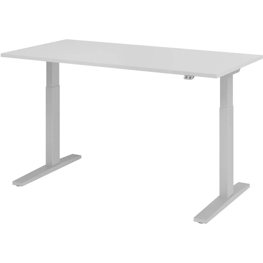 Schreibtisch Office grau Holzwerkstoff B 160 T 80 cm
