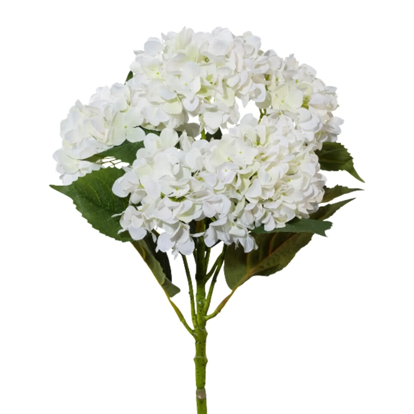 Gasper Kunstblumen Hortensienstamm Weiss Weiss | Schubiger Möbel