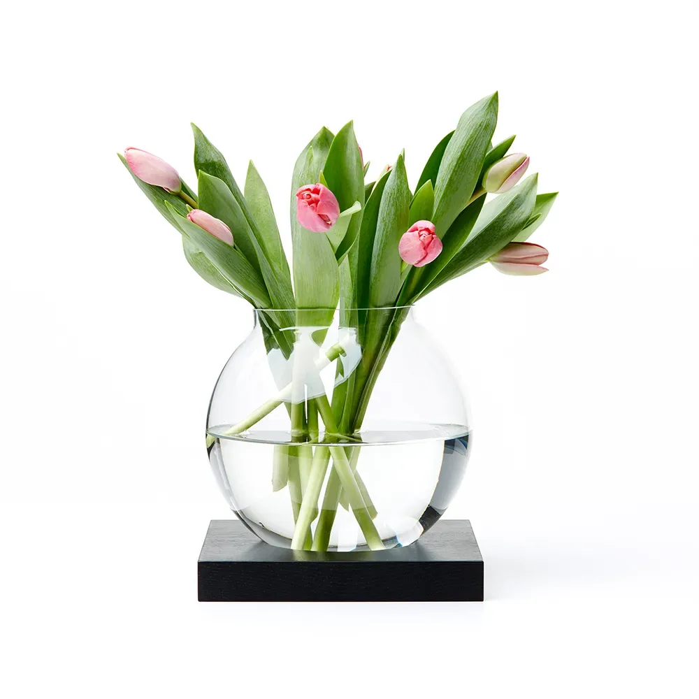 A2 Space dekoration ek svartbetsad, glas