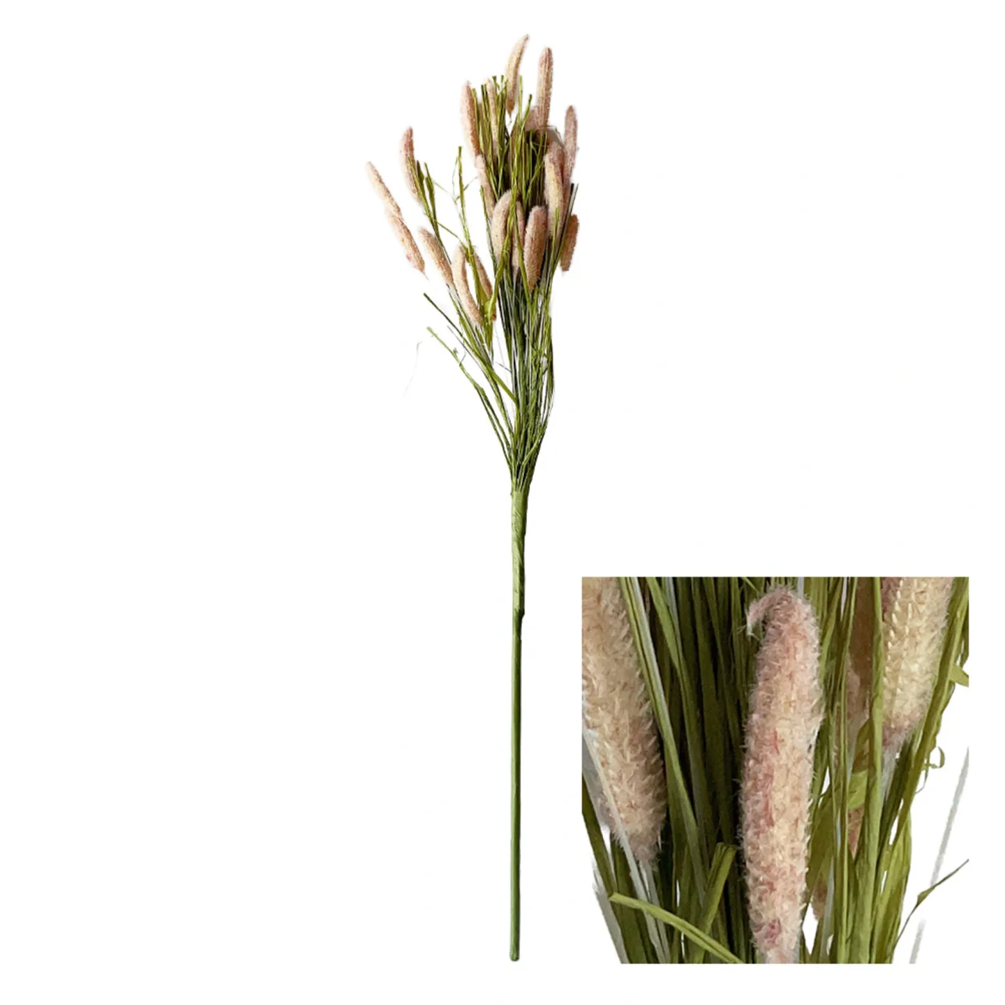 Decofinder Kunstblumen Setaria Grün Grün | Schubiger Möbel