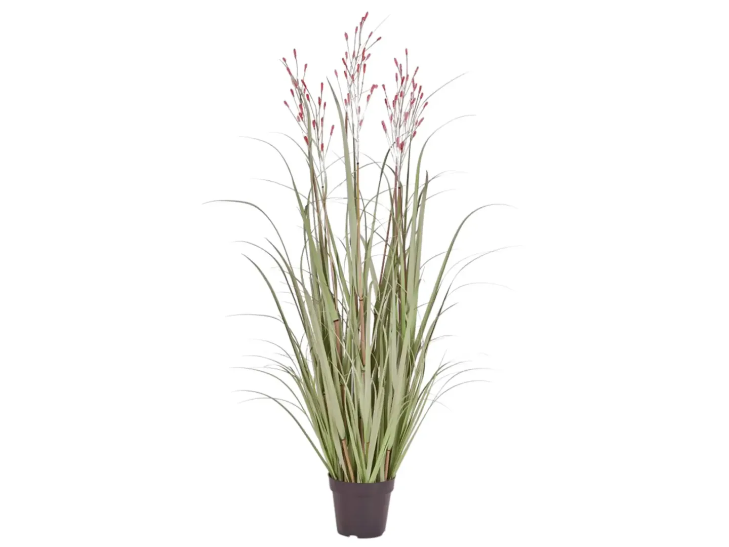 Edg Kunstpflanzen Schilf Apricot H: 130 cm | Schubiger Möbel