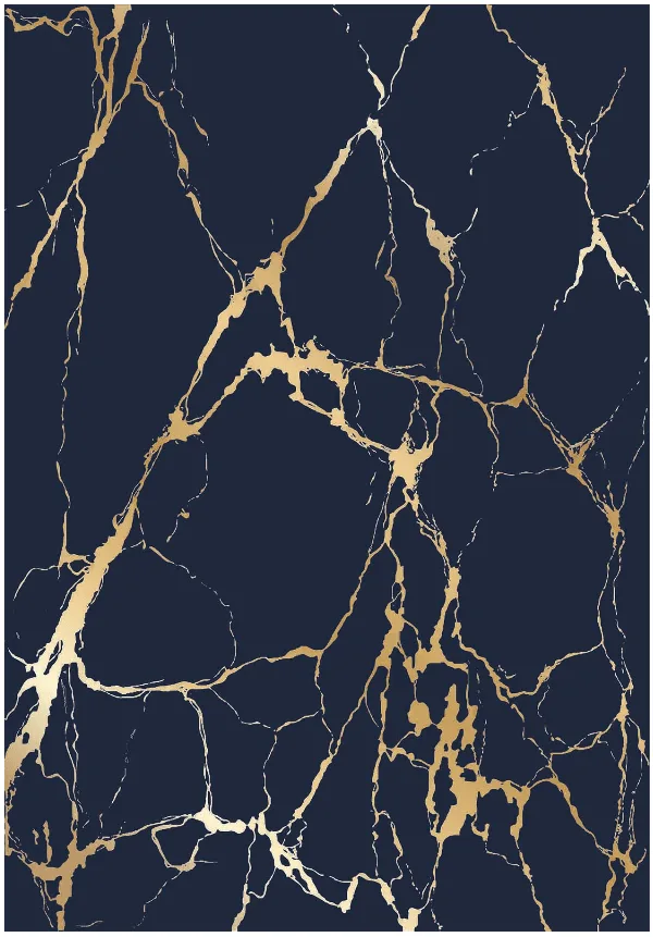 Wilton-teppe - Cesina (svart/gull) (Størrelse: 200 x 280 cm)