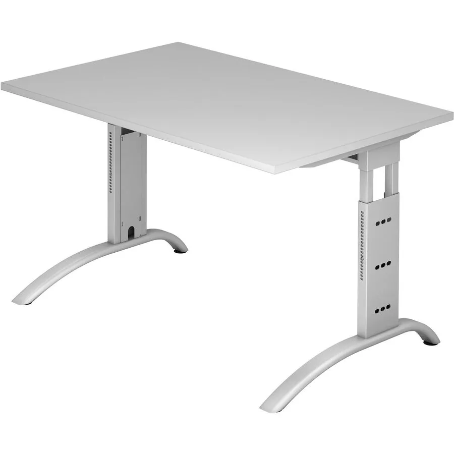 Schreibtisch Office grau Holzwerkstoff B 120 T 80 cm