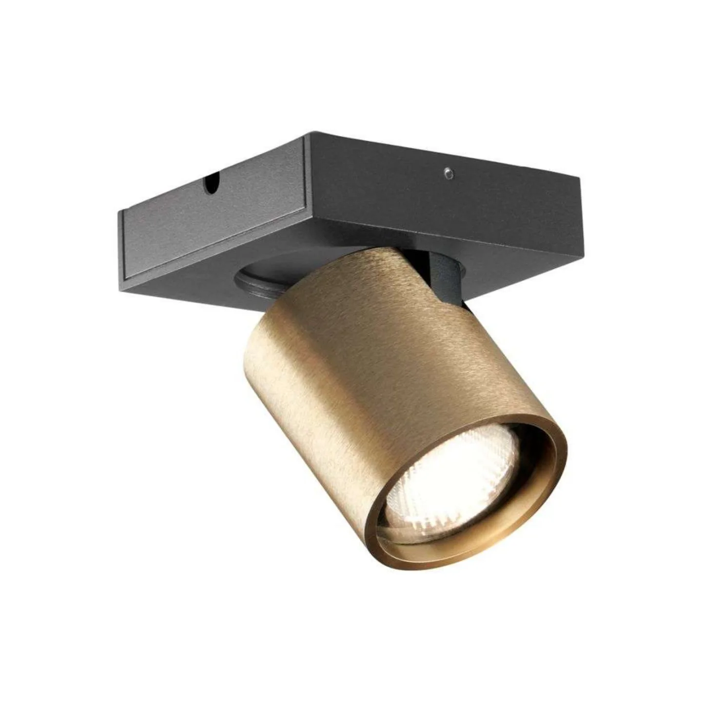Focus 1 LED Plafond 2700K Brass - LIGHT-POINT - Vardagsrum - Aluminium